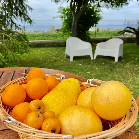 Joyosa * Ischia
