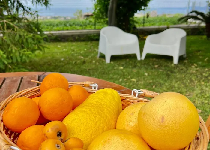 Joyosa * 伊斯基亚